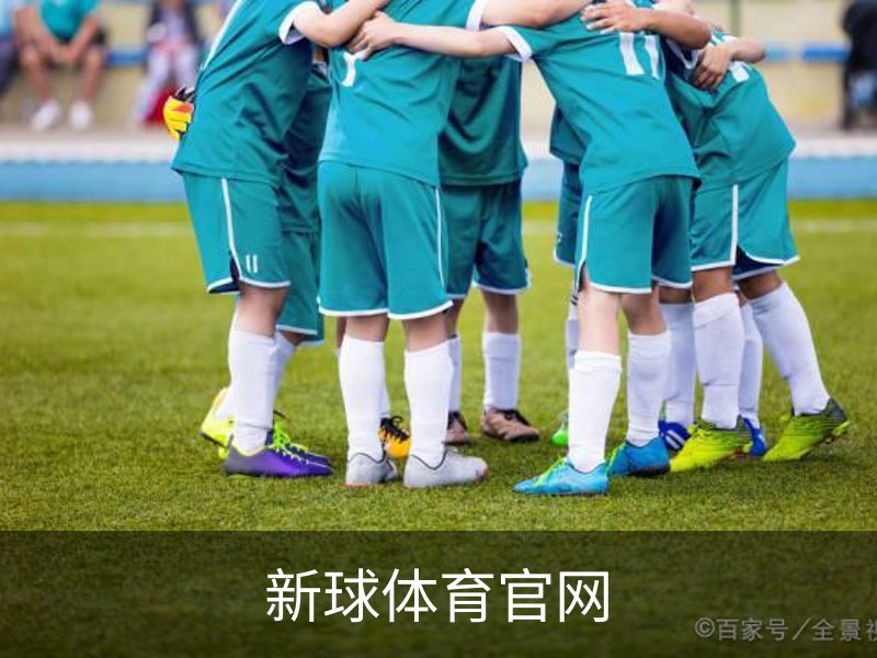 新球体育官网简介